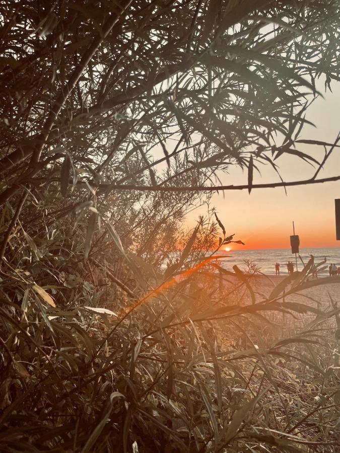 Baltico Domki Letniskowe Sarbinowo Esterno foto