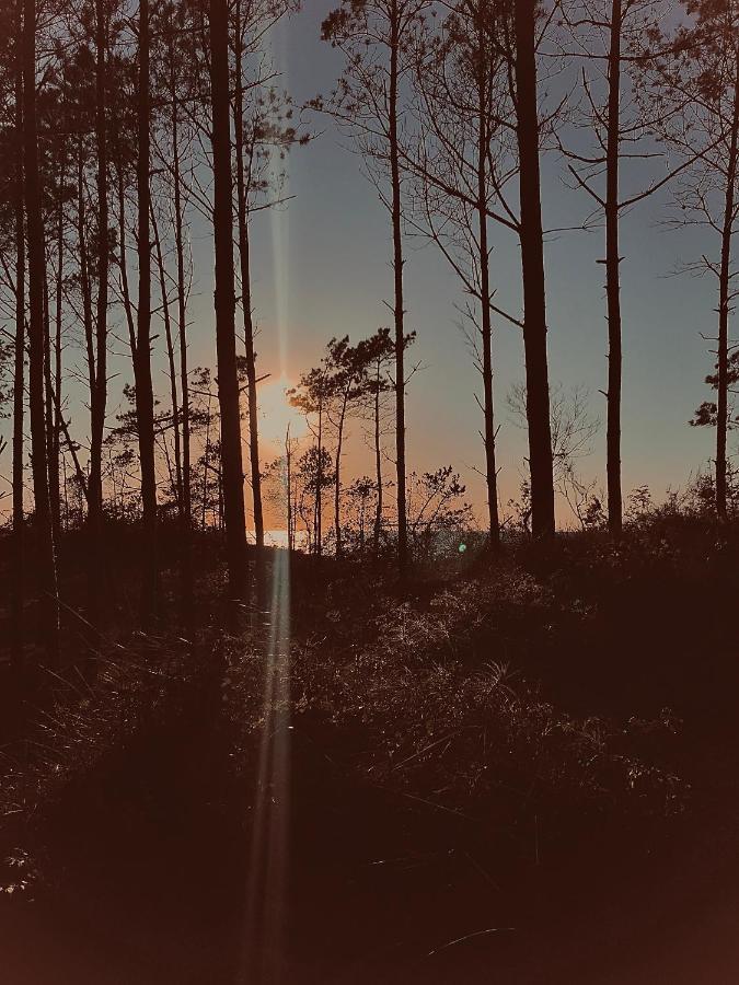 Baltico Domki Letniskowe Sarbinowo Esterno foto